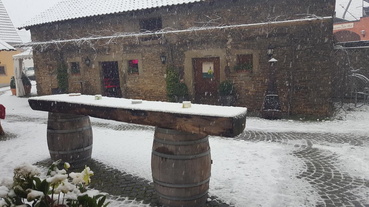 Der Patrizierhof - Weingut Gasthof Hotel - Familie Grebner Grosslangheim 外观 照片