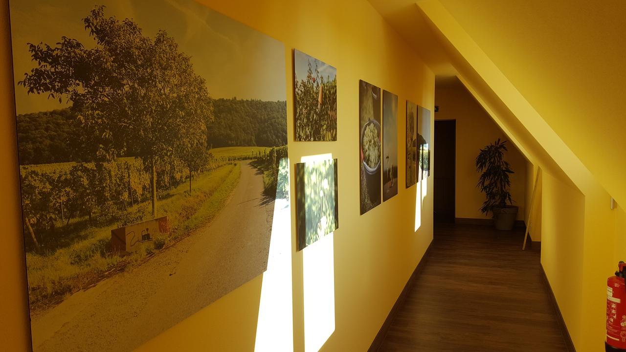 Der Patrizierhof - Weingut Gasthof Hotel - Familie Grebner Grosslangheim 外观 照片