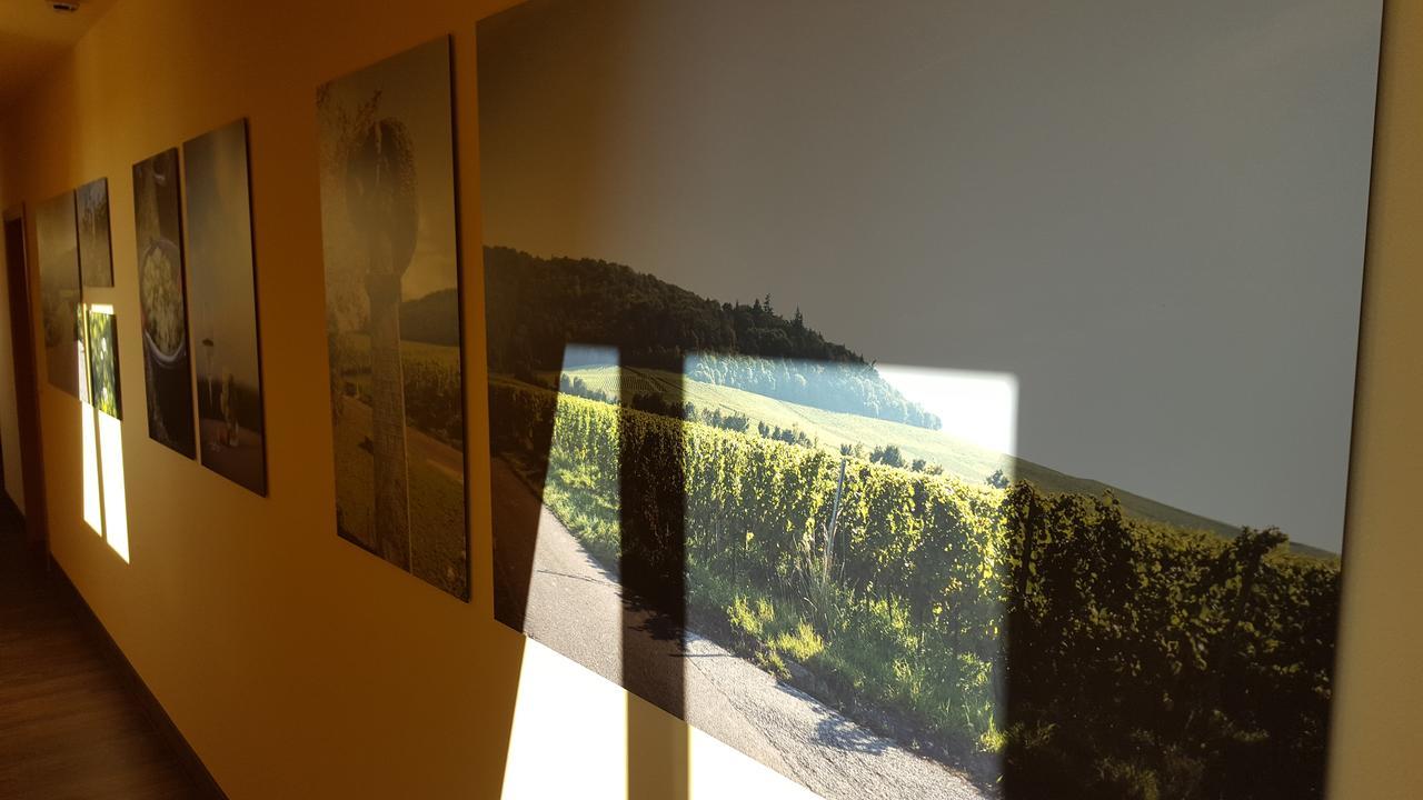 Der Patrizierhof - Weingut Gasthof Hotel - Familie Grebner Grosslangheim 外观 照片